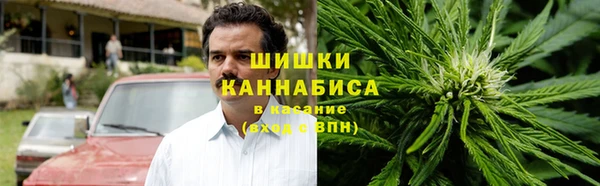 Альфа ПВП Аркадак