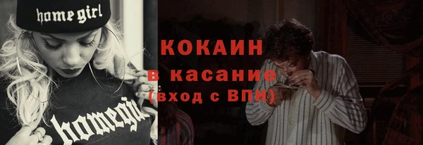 твердый Арсеньев