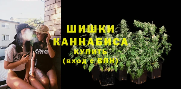 Альфа ПВП Аркадак
