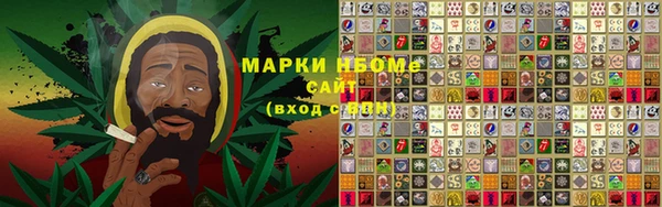 Альфа ПВП Аркадак
