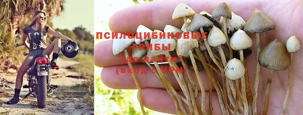 Альфа ПВП Аркадак