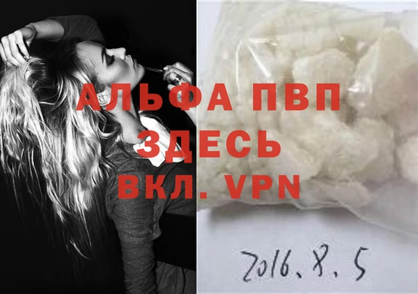 твердый Арсеньев