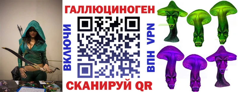 Псилоцибиновые грибы Cubensis  Урус-Мартан 